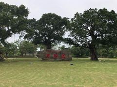 门面-万绿园