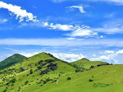 -大姆山草场