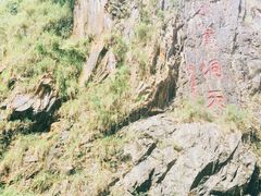 -水濂山森林公园