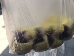 -松盛糕团店(红旗桥店)