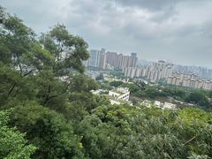 -金鸡山公园