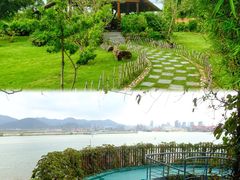 -芒洲湿地公园