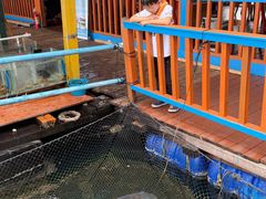 -蓝湾碧波·老字号·疍家非遗海上餐厅