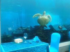 -海棠湾洲际-涛·海底餐厅·美人鱼·自助餐·海底隧道