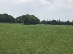 -东方绿舟景区