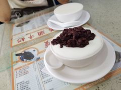 -义顺牛奶公司(新马路老店)