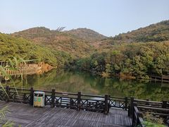 -白马涧龙池景区