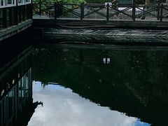 -荷塘味道(水长城店)