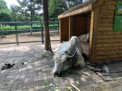 -长白岛森林公园