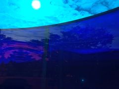 -金泽21世纪美术馆