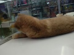 -乐宠宠物店(世纪金源店)