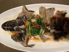 -湖锦酒楼·31年地道湖北菜(黄鹤楼店)