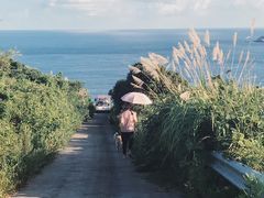 -东极岛景区