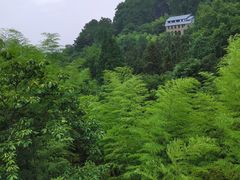 -莫干山风景区