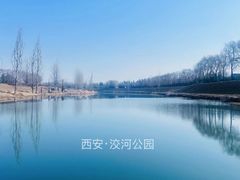 -洨河生态公园