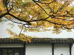 -龙井壹号·茶缘山景宴(龙井村店)