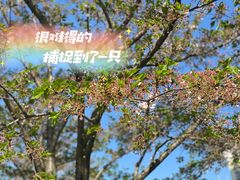 -静安雕塑公园