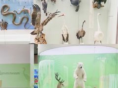 -国家自然博物馆