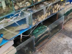 -岳各庄批发市场(西四环中路店)