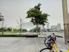 -南京奥林匹克体育中心-体育馆