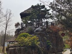 -东平国家森林公园