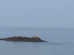-中华人民共和国水准零点