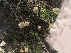 -潮粥荟·潮汕砂锅粥(朝阳大悦城店)
