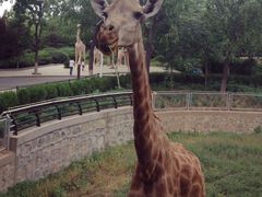 -石家庄市动物园