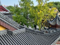 -上海东林寺(金山区)