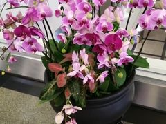 -厦门高崎国际机场-T3航站楼