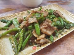 尖椒小炒肉-张鲫鱼家常菜