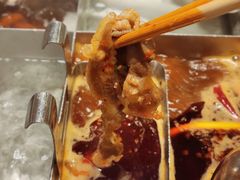 -海底捞火锅(铂澜大象城店)