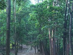 -火炉山森林公园