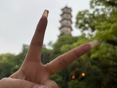 -江心屿景区