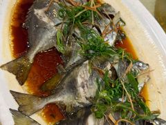 -台山美食一绝阿四台山黄鳝饭(阿四创作店)