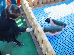 -萌宠亲子动物乐园(槐房万达店)