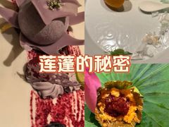 -叶叶菩提(太原别墅店)