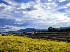 -抚仙湖禄充风景区