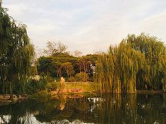 -贡湖湾湿地公园