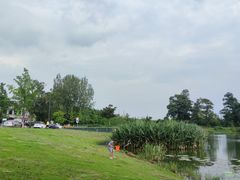 -两河城市森林公园