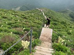 -灵山