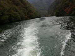 -天台国家森林公园水上茶乡九鹏溪
