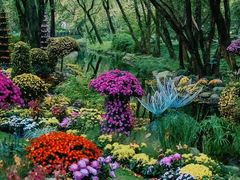 -上海共青森林公园