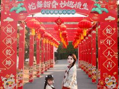 -武汉紫薇都市田园