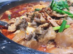 -古乐牛香·鲜牛肉牛杂火锅(吴江三里桥运东商业广场店)