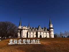 -北京张裕爱斐堡酒庄