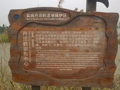-盐城丹顶鹤湿地生态旅游区