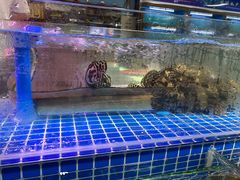 -渔人湾码头海鲜市场负二楼