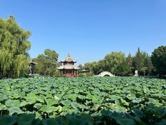 -莲池书院博物馆