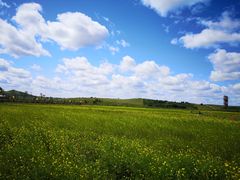 -塞罕坝国家级自然保护区